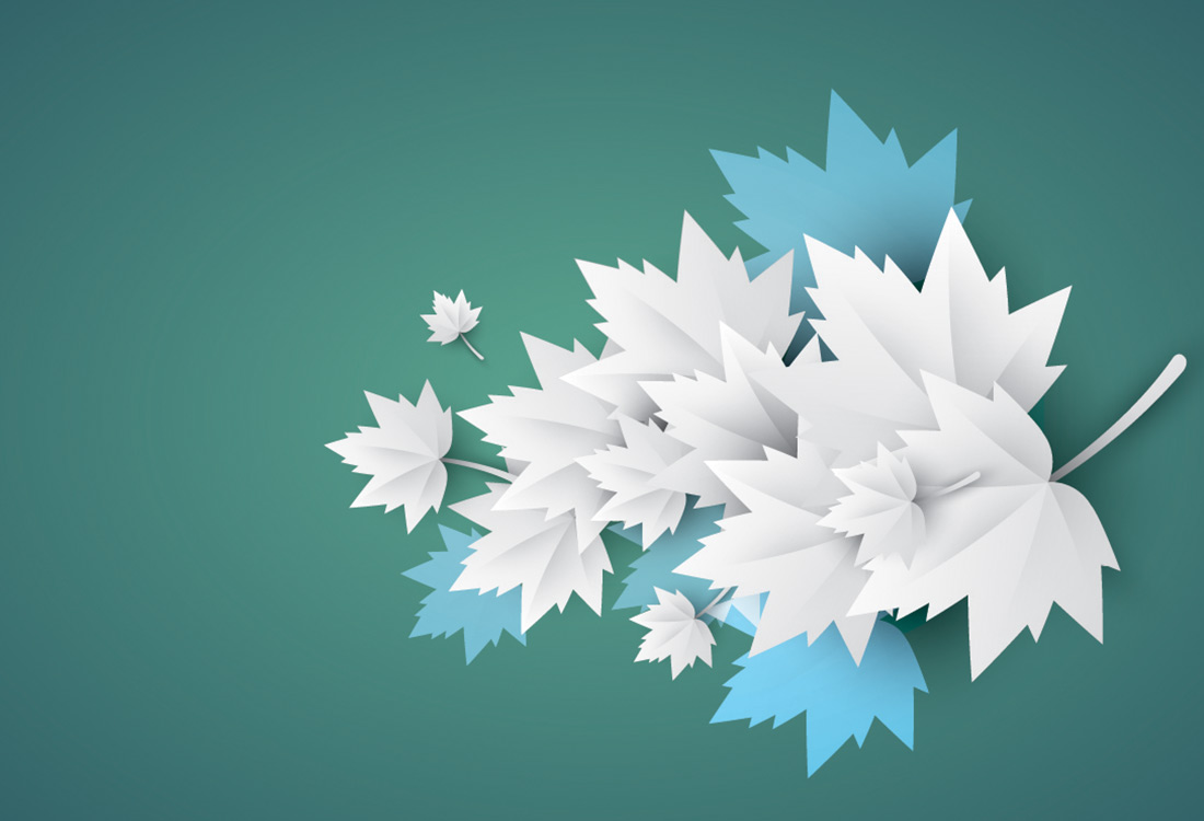 Read more about the article Passion Project